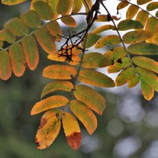 Endrede åpningstider fra 1. oktober